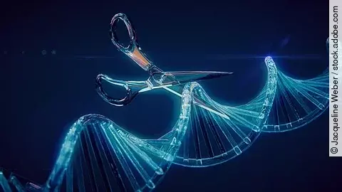 CRISPR Genschere | Gentechnik