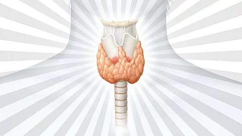 Grafische Darstellung des Halsbereichs mit hervorgehobener Schilddrüse in Orange, umgeben von strahlenförmigen Linien.