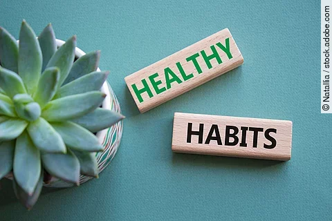 Healthy habits symbol. Concept word Healthy habits on wooden blocks with succulent plant. Beautiful grey green background. Business and Healthy habits concept. Copy space