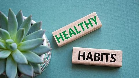 Healthy habits symbol. Concept word Healthy habits on wooden blocks with succulent plant. Beautiful grey green background. Business and Healthy habits concept. Copy space Gesunder Lebensstil senkt Sterberisiko bei Krebsüberlebenden