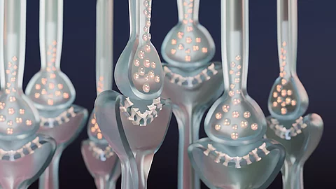 Nerven; Reizübertragung