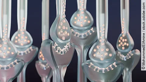 Nerven; Reizübertragung