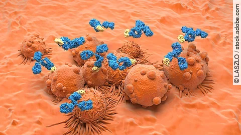 Monoclonal antibody treatment in Kidney cancer - isometric view 3d illustration