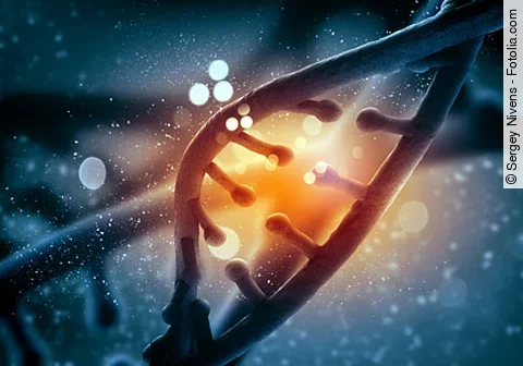 Mutation in einem DNA-Abschnitt