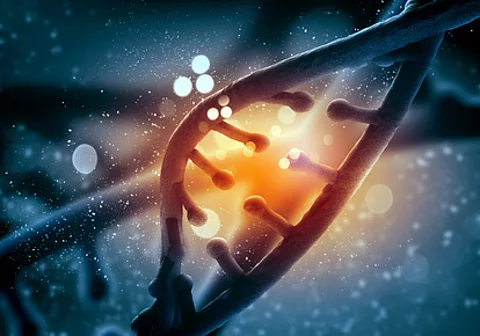 Mutation in einem DNA-Abschnitt