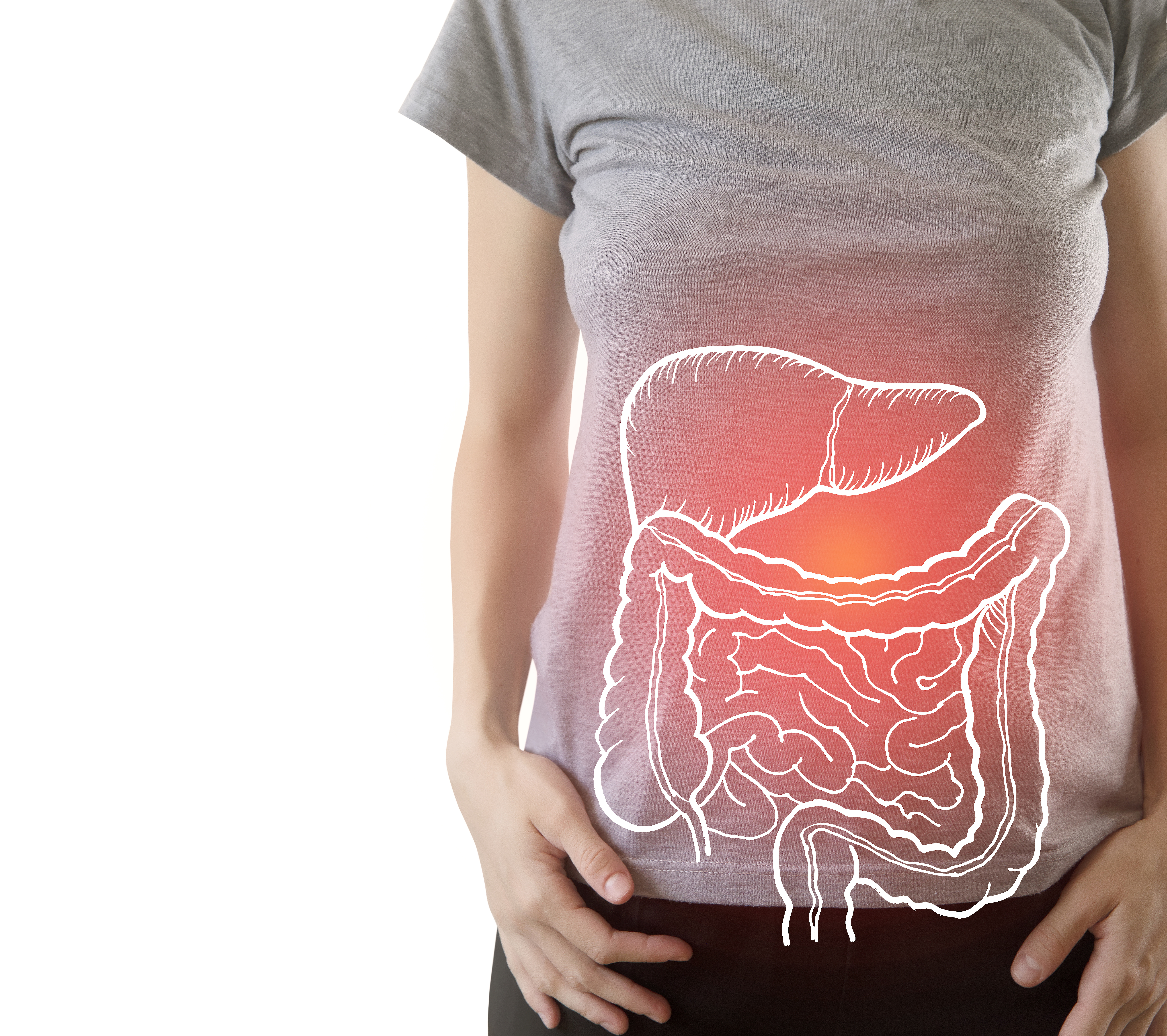Person im grauen T-Shirt mit grafischer Darstellung des Verdauungstrakts auf dem Bauch. Die Leber und der Darm sind weiß skizziert, ein roter Lichtpunkt markiert den Bereich der Leber.
