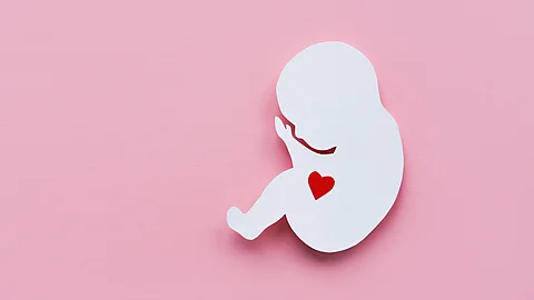 Papier-Silhouette eines Embryos mit rotem Herz auf rosafarbenem Hintergrund