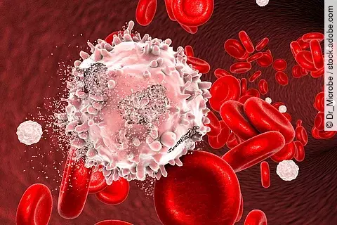 Destruction of leukaemia cell