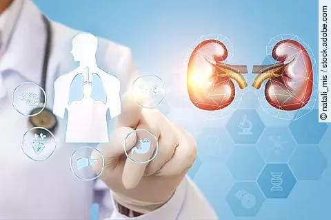 Nieren in Digitalansicht, Ärztin in Kittel im Hintergrund