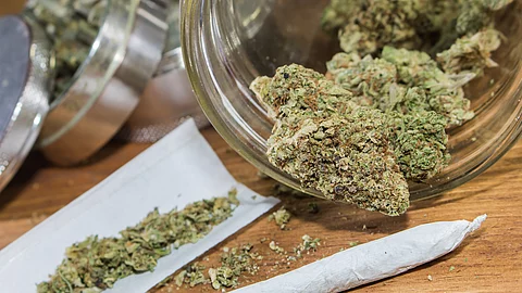Cannabis: Patienten mit diagnostizierter Cannabisabhängigkeit starben laut Studie 24-mal häufiger innerhalb von fünf Jahren nach einer Darmkrebsdiagnose.