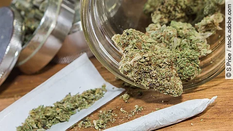 Cannabis: Patienten mit diagnostizierter Cannabisabhängigkeit starben laut Studie 24-mal häufiger innerhalb von fünf Jahren nach einer Darmkrebsdiagnose.