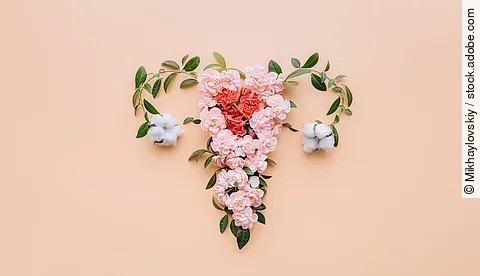 Abstract image of the uterus. female reproductive system made up