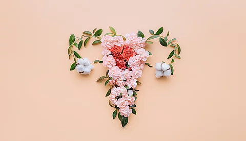 Abstract image of the uterus. female reproductive system made up