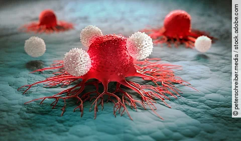 Tumor cell under attack of white blood cells