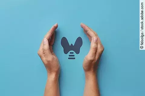 Schilddrüse als Zeichnung, umfasst von 2 Händen