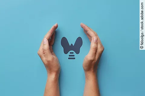 Drawing of the thyroid gland in the hands of a person. A symbol of protection and prevention from thyroid diseases