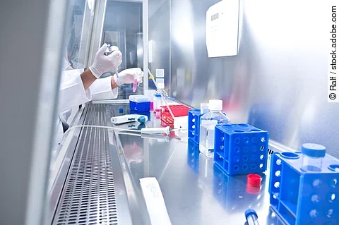 Medizinische Analyse von biologischen Proben im Labor in einer Sicherheitswerkbank unter sterilen Bedingungen