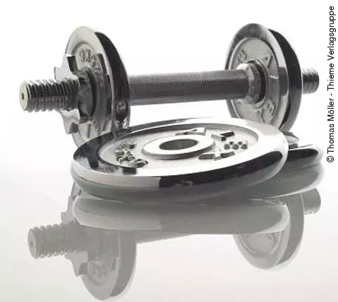 Kurzhantel und Scheibe für die Hantelstange