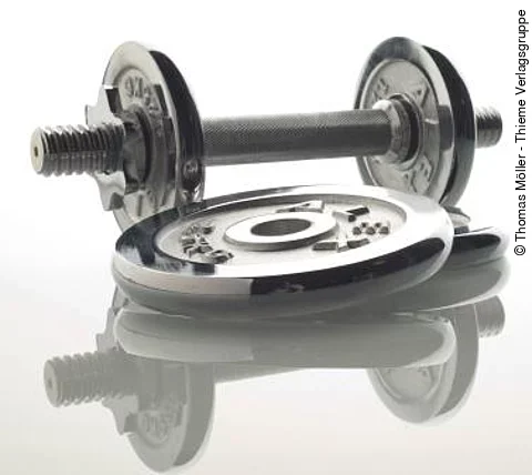 Kurzhantel und Scheibe für die Hantelstange