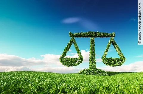 Eco friendly law, politics and eco balance concept. 3d rendering