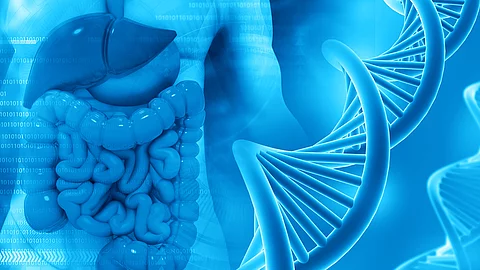 Genetisches Risiko für wiederkehrenden Darmkrebs beim Lynch-Syndrom Genetisches Risiko für wiederkehrenden Darmkrebs beim Lynch-Syndrom