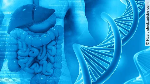 Genetisches Risiko für wiederkehrenden Darmkrebs beim Lynch-Syndrom Genetisches Risiko für wiederkehrenden Darmkrebs beim Lynch-Syndrom