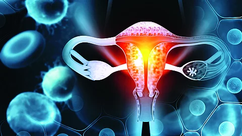 Illustration der weiblichen inneren Geschlechtsorgane mit hervorgehobenem Uterus und Eierstöcken; umgeben von stark vergrößerten Zellen und molekularen Strukturen, die eine Mikroumgebung im Bauchraum darstellen.