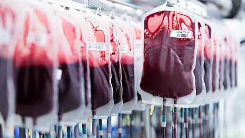 Blutkonserven werden im Zentrallabor des DRK-Blutspendedienstes für Krankenhäuser und Praxen gefiltert und aufbereitet. Blutkonserven werden im Zentrallabor des DRK-Blutspendedienstes für Krankenhäuser und Praxen gefiltert und aufbereitet.
