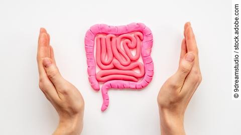 Human intestines colon organ shape with hands. Digestive tract p