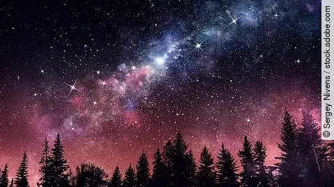Illustrativer Nachthimmel mit Milchstraße und Sternen über dunklen Baumkronen