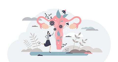 Fertility as medical reproduction healthcare and checkup tiny person concept, transparent background. Woman gynecology organ health and wellness examination illustration.