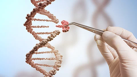 Eine Hand hält ein feines Werkzeug, mit dem ein rotes, beschädigtes Segment aus einem DNA-Doppelstrang hervorgehoben wird; im Hintergrund weitere unscharfe DNA-Strukturen. Eine Hand hält ein feines Werkzeug, mit dem ein rotes, beschädigtes Segment aus einem DNA-Doppelstrang hervorgehoben wird; im Hintergrund weitere unscharfe DNA-Strukturen.