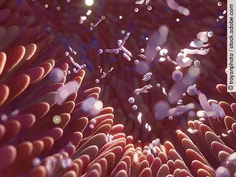 Microbiome intestine factories and microbiota. Gut health 3d ren