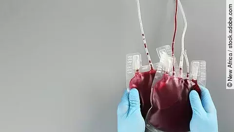 Regelmäßiges Blutspenden fördert die Regeneration der Blutzellen 