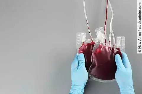 Regelmäßiges Blutspenden fördert die Regeneration der Blutzellen 