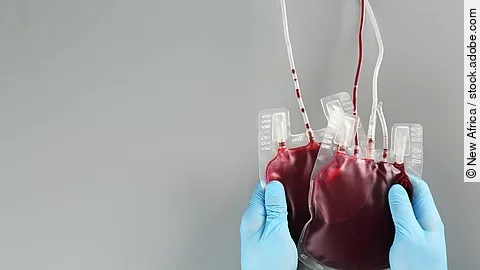 Regelmäßiges Blutspenden fördert die Regeneration der Blutzellen 