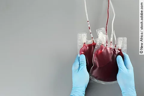 Regelmäßiges Blutspenden fördert die Regeneration der Blutzellen 