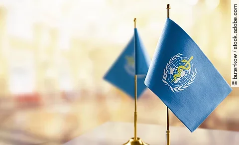 Small flags of the World Health Organization WHO on an abstract blurry background