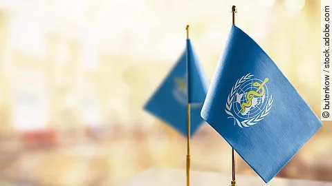 2 kleine WHO-Flaggen 2 kleine WHO-Flaggen