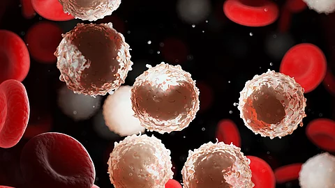 Illustrative 3D‑Darstellung von Lymphozyten im Blut bei chronischer lymphatischer Leukämie (CLL)