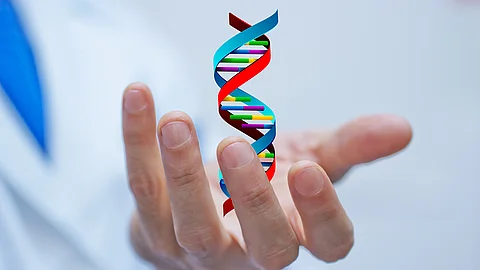 Eine geöffnete menschliche Hand hält eine stilisierte, schwebende DNA-Doppelhelix vor hellem Hintergrund.