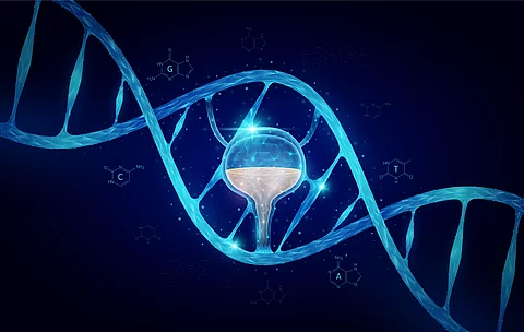 Illustration einer menschlichen Blase eingebettet in eine stilisierte DNA-Doppelhelix auf dunklem Hintergrund.