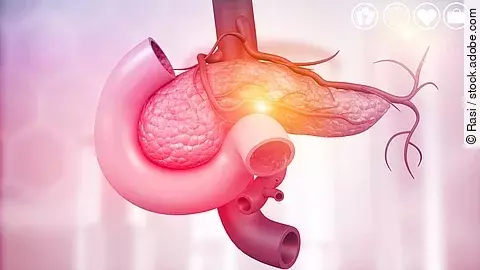 Medizinische Illustration der Bauchspeicheldrüse mit umliegenden Blutgefäßen.