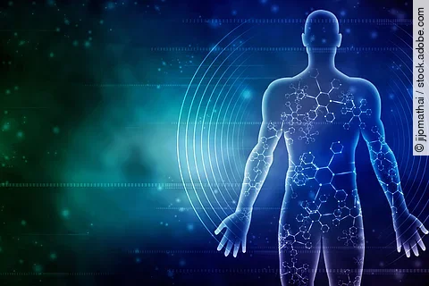 2d illustration Human Male Muscle Body