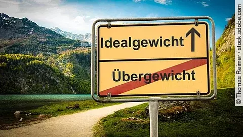 Straßenschild in Berglandschaft mit den Aufschriften „Idealgewicht“ (Pfeil nach oben) und „Übergewicht“ (durchgestrichen).