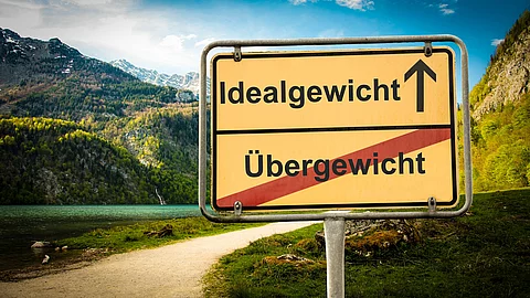 traßenschild in Berglandschaft mit den Aufschriften „Idealgewicht“ (Pfeil nach oben) und „Übergewicht“ (durchgestrichen). Symbolisiert den Weg von Übergewicht zu Idealgewicht.