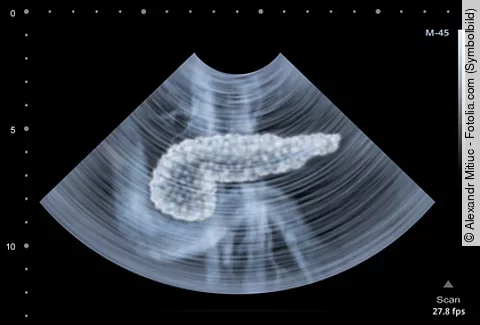 Pankreas im Ultraschall