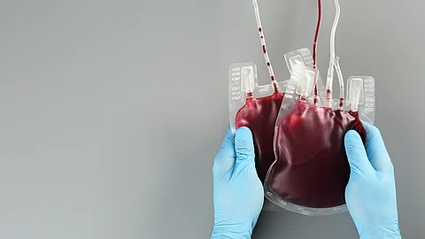 Mehrere transparente Blutbeutel mit roter Flüssigkeit hängen an einer Halterung