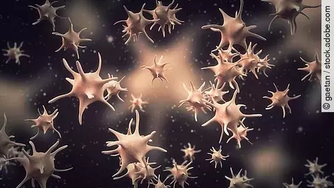 Illustration von vernetzten, sternförmigen Thrombozyten