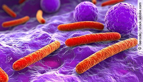 False color light microscopy image of Fusobacterium spp. in mutualistic interaction with colorectal cancer cells